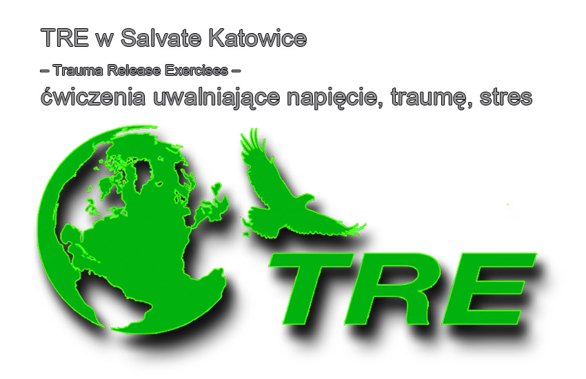 TRE w Salvate Katowice do textu